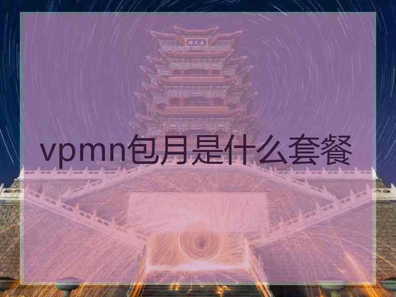 vpmn包月是什么套餐