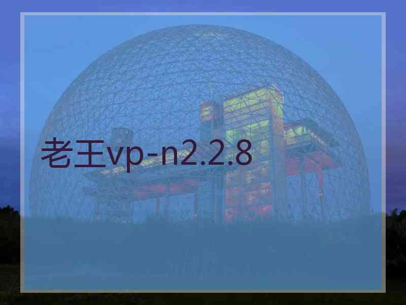 老王vp-n2.2.8