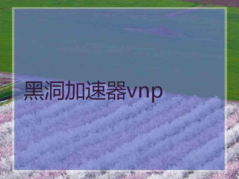 黑洞加速器vnp