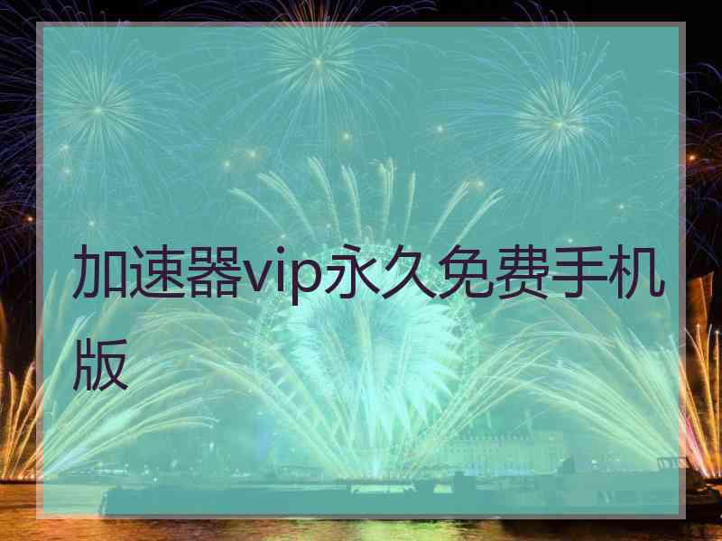 加速器vip永久免费手机版