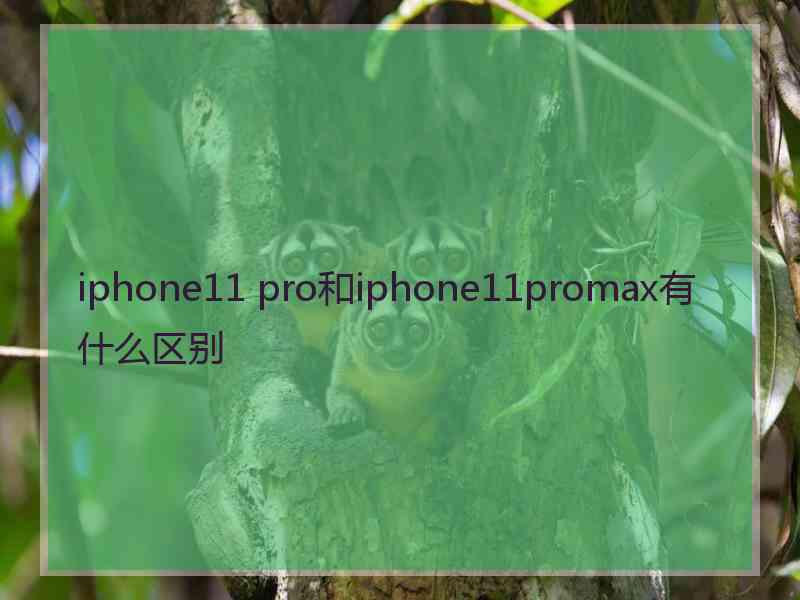 iphone11 pro和iphone11promax有什么区别