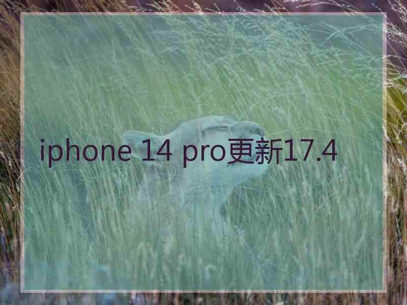 iphone 14 pro更新17.4