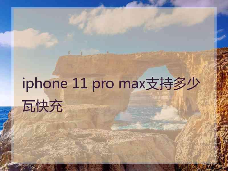 iphone 11 pro max支持多少瓦快充