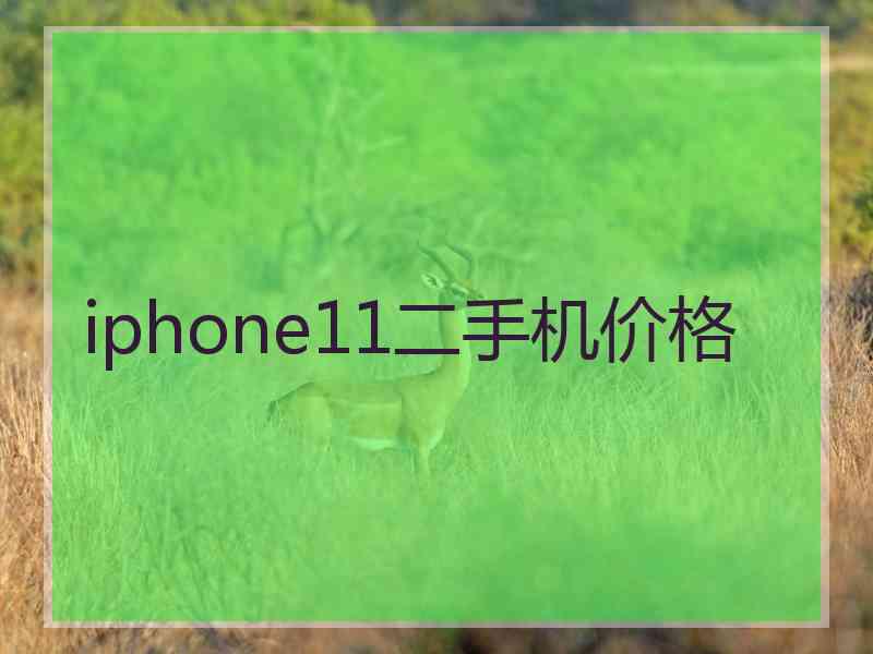 iphone11二手机价格