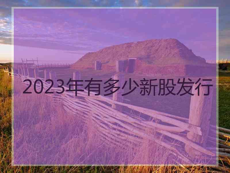 2023年有多少新股发行