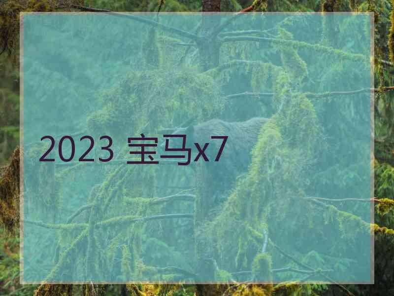 2023 宝马x7