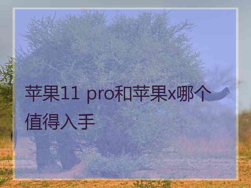 苹果11 pro和苹果x哪个值得入手