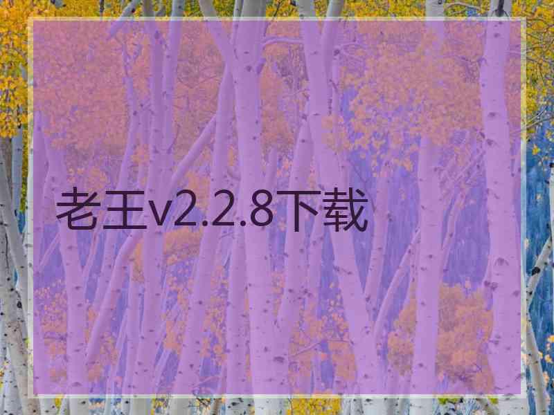 老王v2.2.8下载