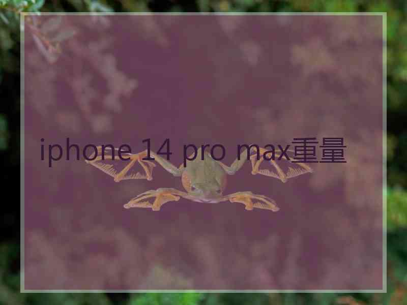 iphone 14 pro max重量