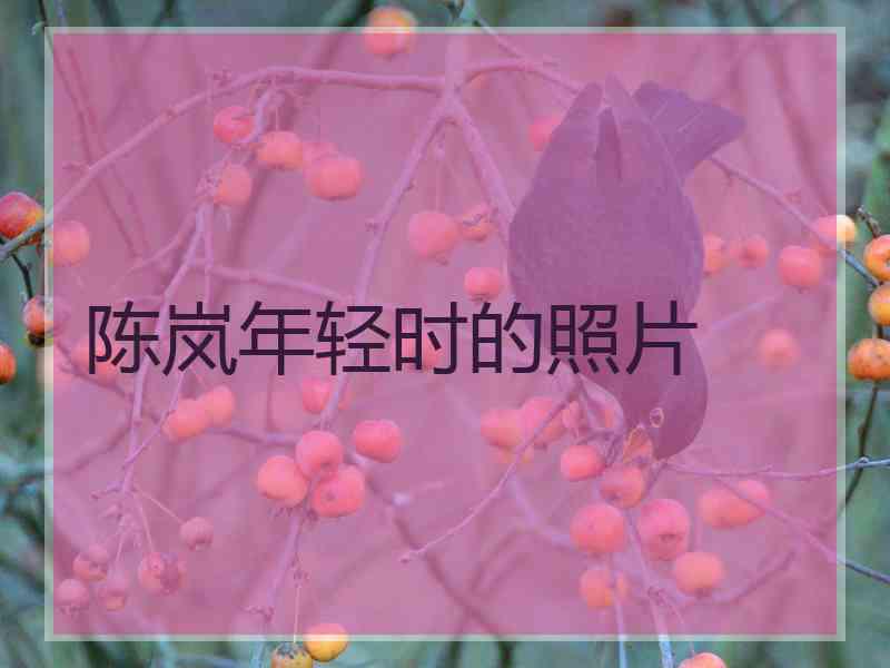 陈岚年轻时的照片