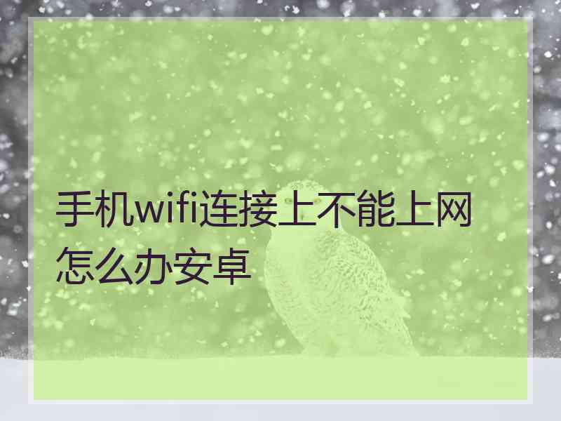 手机wifi连接上不能上网怎么办安卓