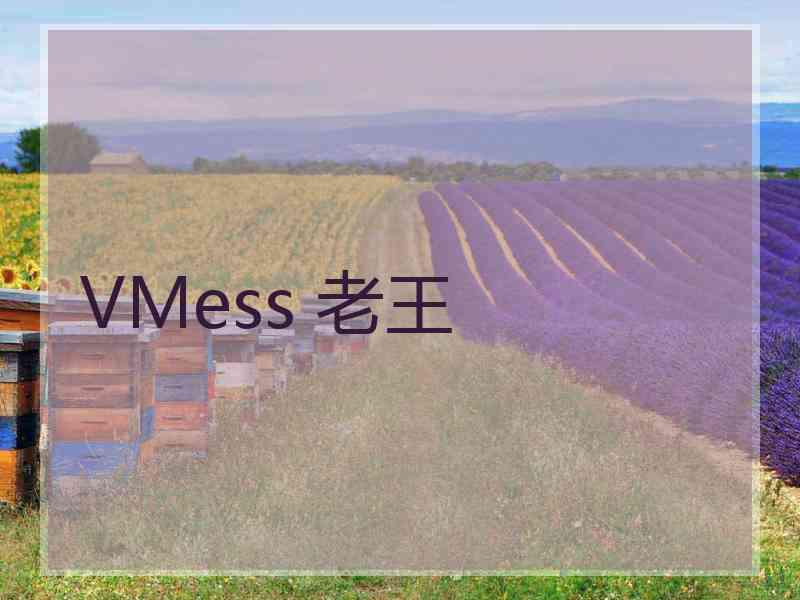 VMess 老王