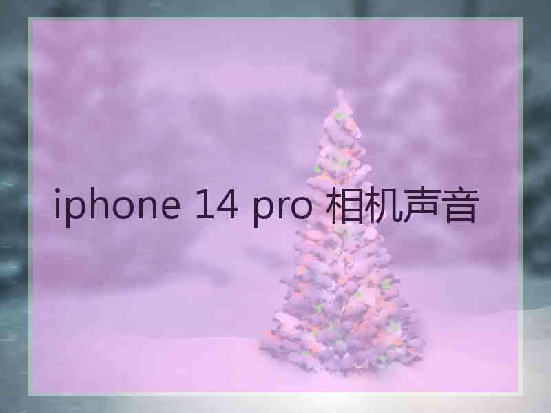 iphone 14 pro 相机声音