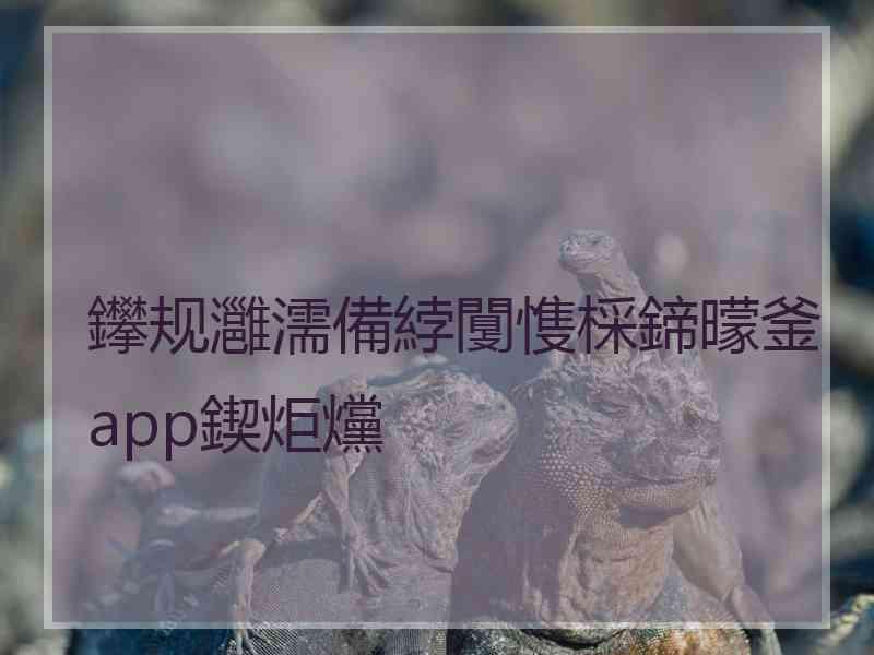 鑻规灉濡備綍闅愯棌鍗曚釜app鍥炬爣