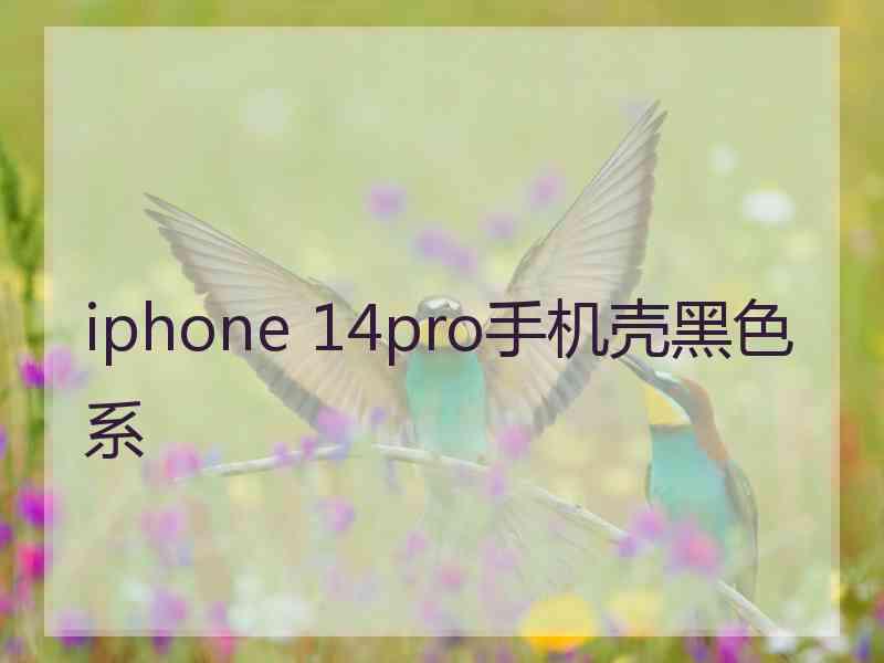 iphone 14pro手机壳黑色系