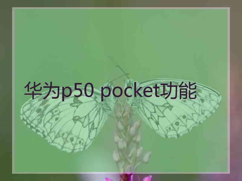 华为p50 pocket功能