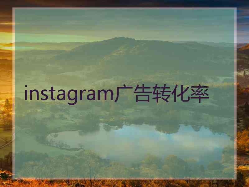 instagram广告转化率