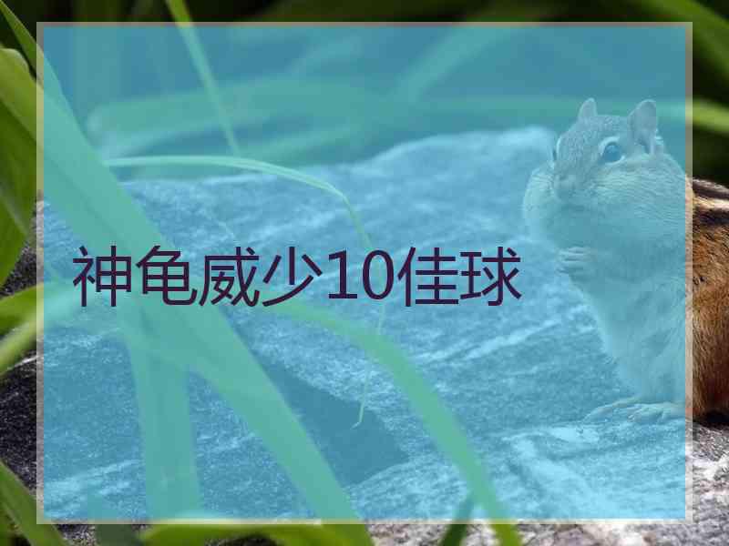 神龟威少10佳球