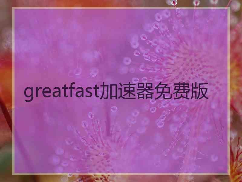 greatfast加速器免费版