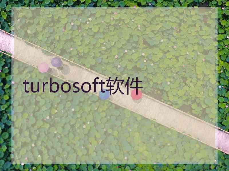 turbosoft软件