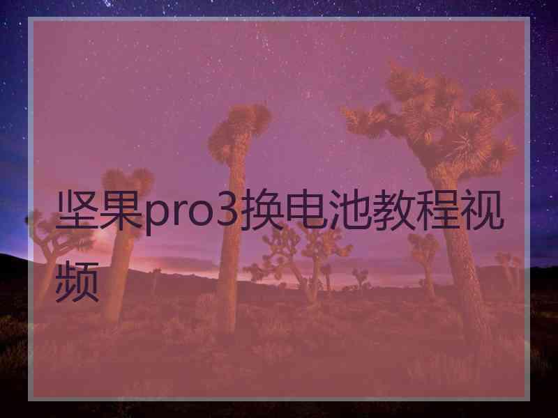 坚果pro3换电池教程视频