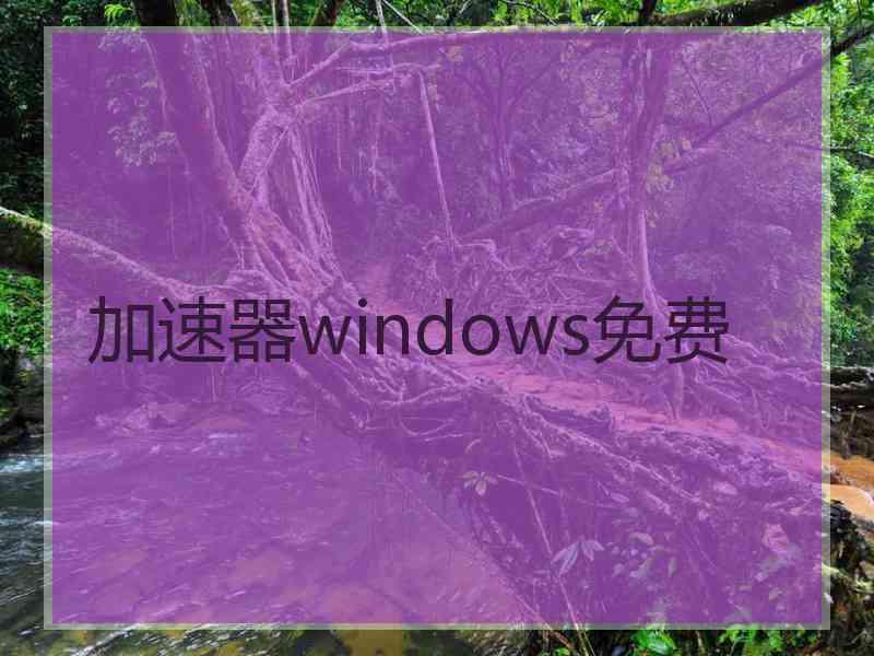 加速器windows免费