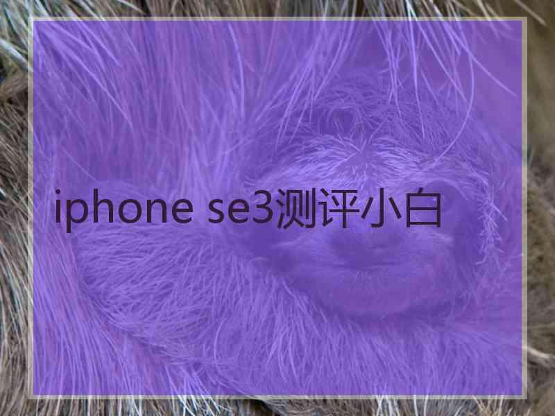 iphone se3测评小白