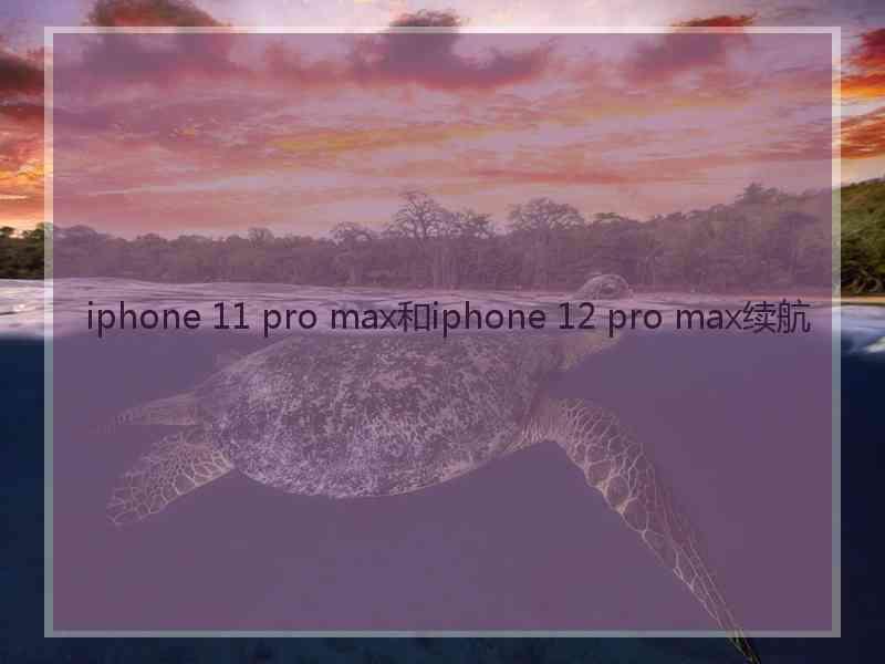 iphone 11 pro max和iphone 12 pro max续航