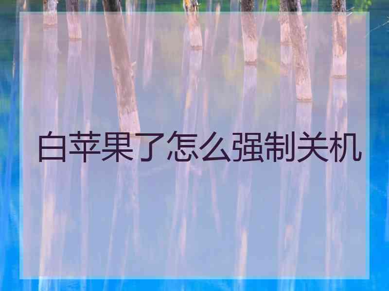 白苹果了怎么强制关机