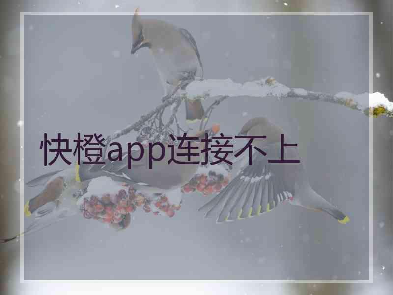 快橙app连接不上