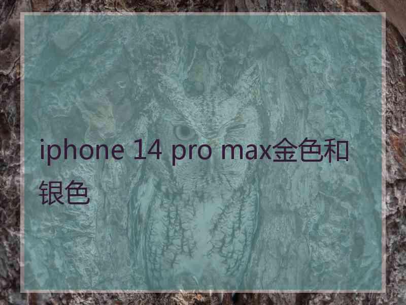 iphone 14 pro max金色和银色