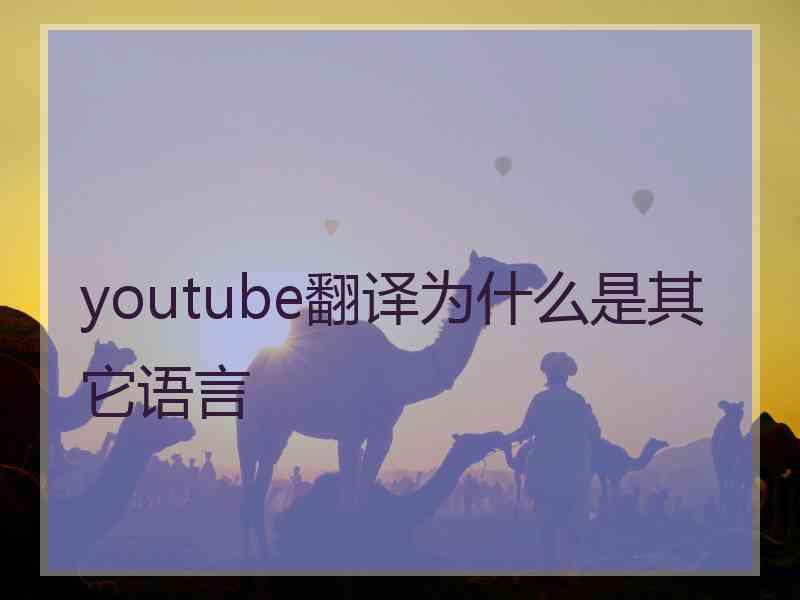 youtube翻译为什么是其它语言