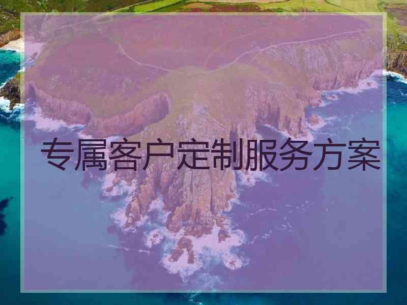 专属客户定制服务方案