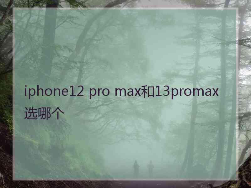 iphone12 pro max和13promax选哪个