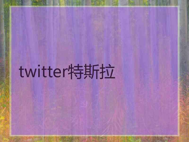 twitter特斯拉