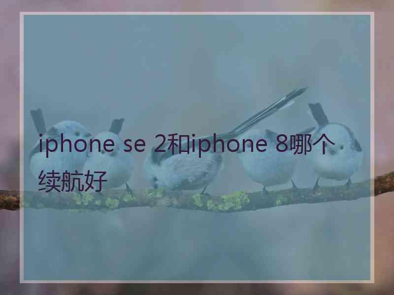 iphone se 2和iphone 8哪个续航好