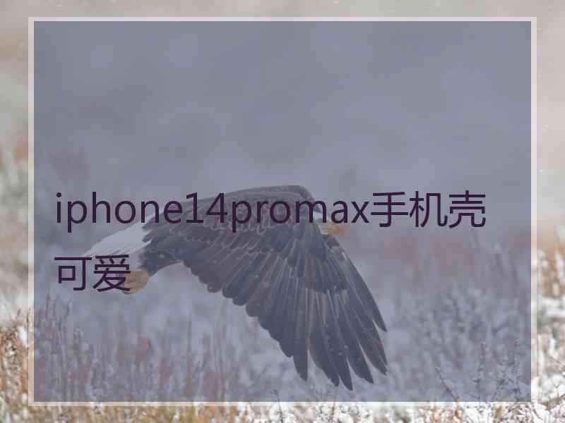 iphone14promax手机壳可爱