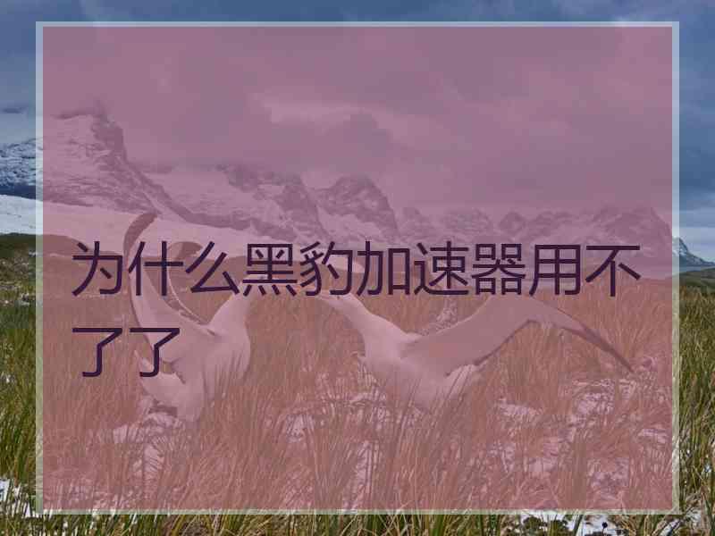 为什么黑豹加速器用不了了