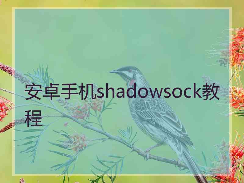 安卓手机shadowsock教程