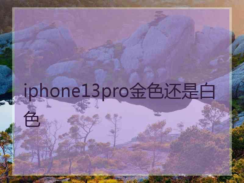 iphone13pro金色还是白色