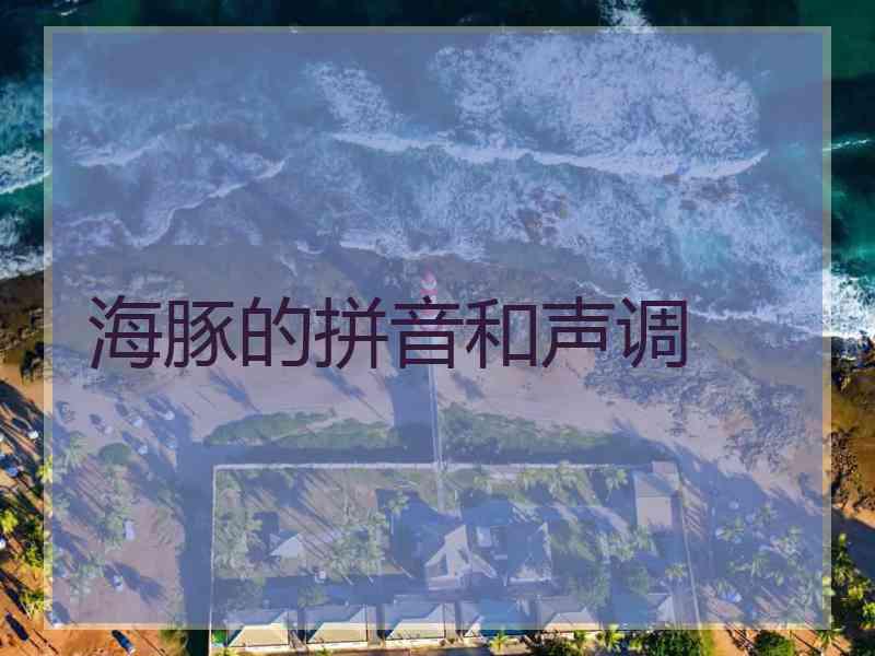 海豚的拼音和声调