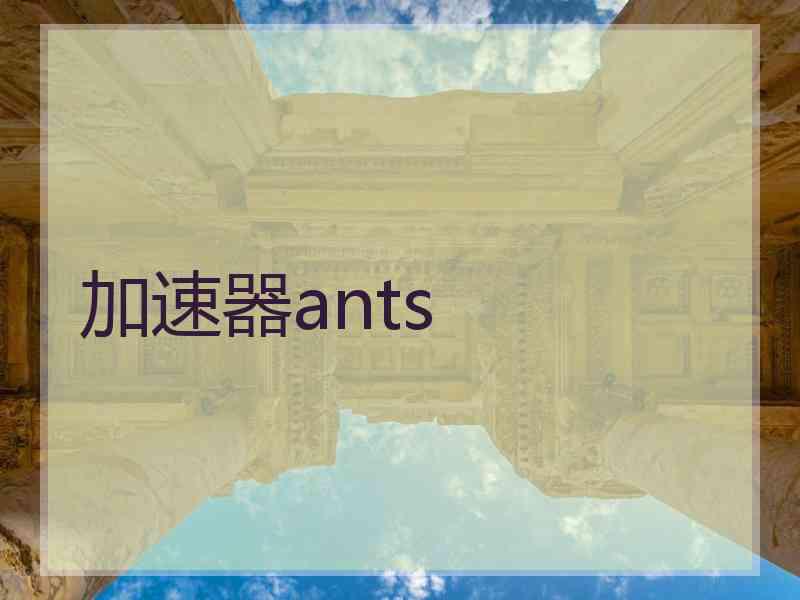 加速器ants