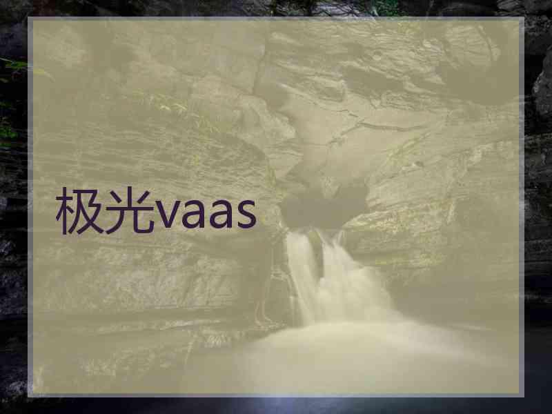 极光vaas