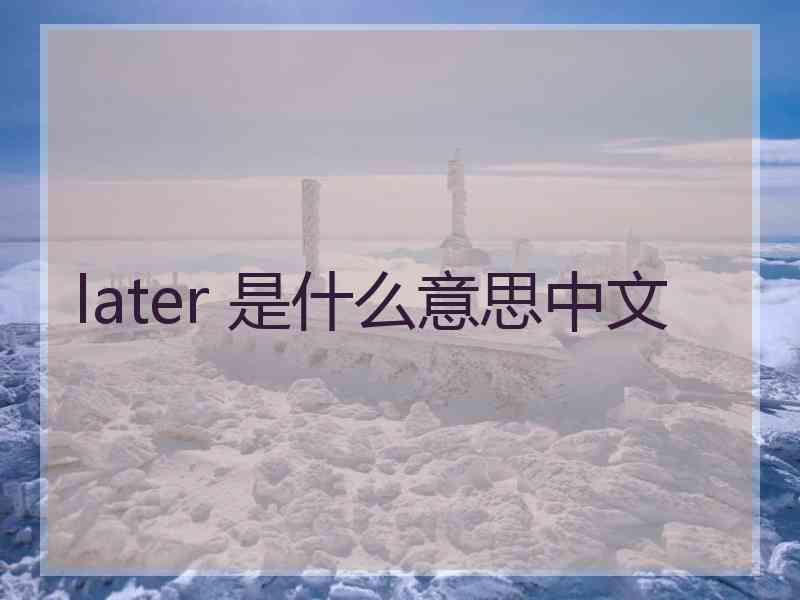 later 是什么意思中文