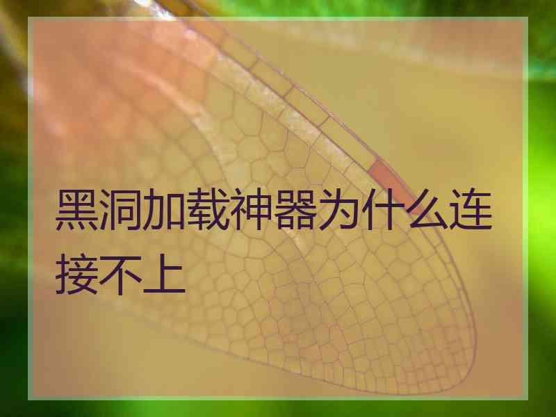 黑洞加载神器为什么连接不上