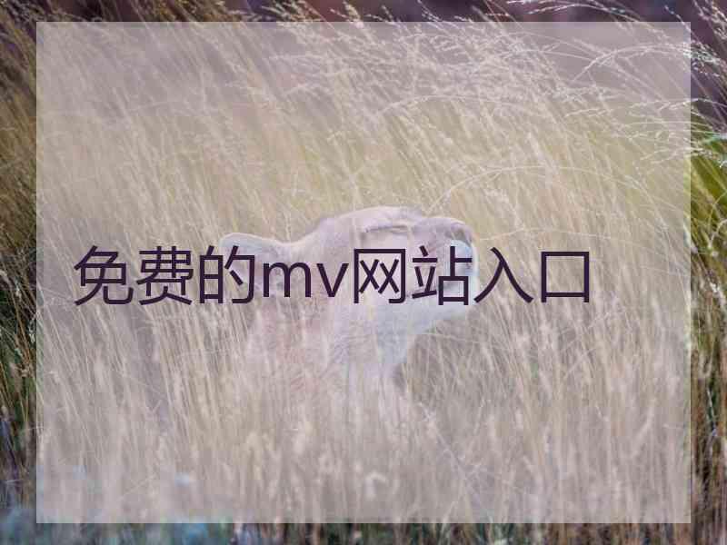 免费的mv网站入口