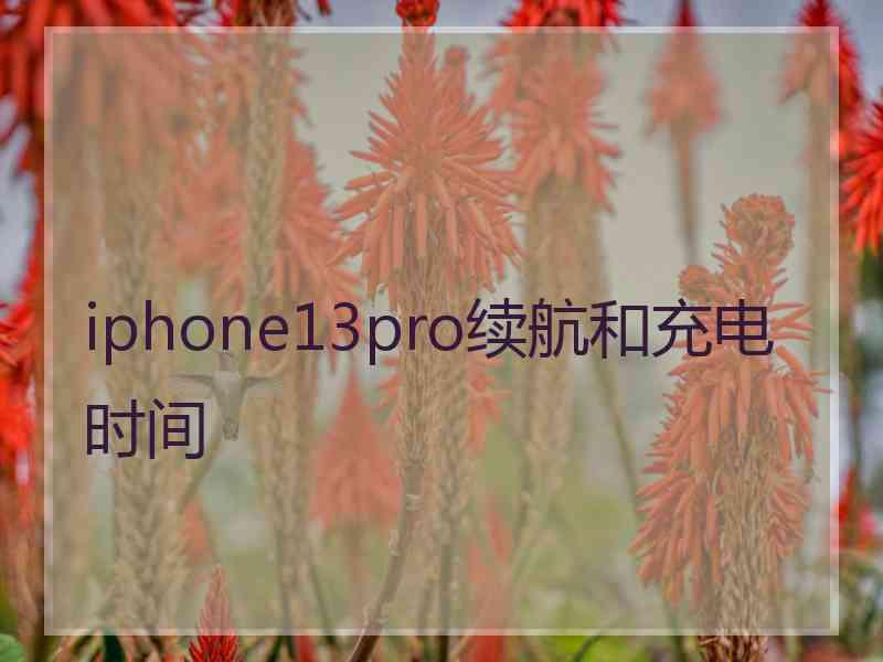 iphone13pro续航和充电时间