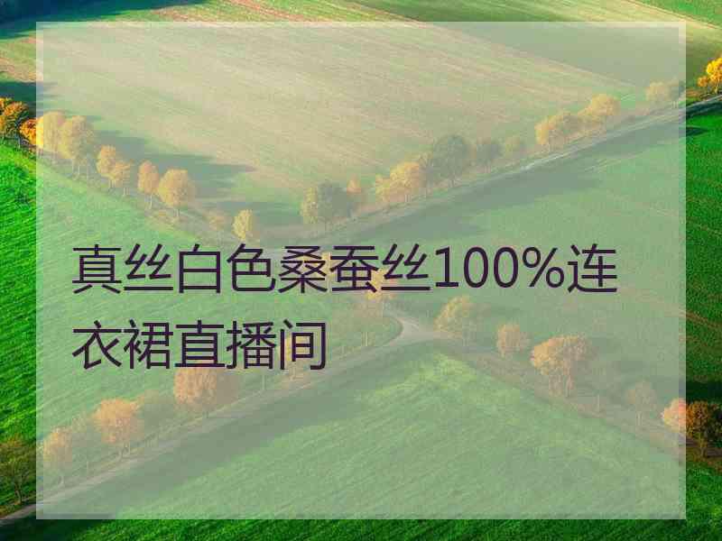 真丝白色桑蚕丝100%连衣裙直播间