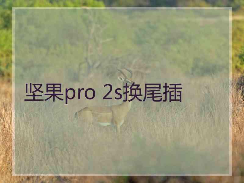 坚果pro 2s换尾插