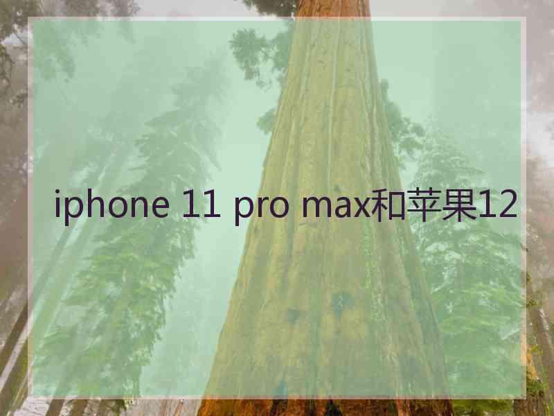 iphone 11 pro max和苹果12